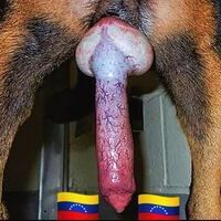 ZooSexRock's Avatar