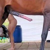 dogsex69's Avatar