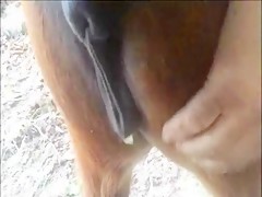 Thumb 15