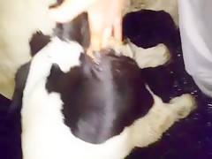 Thumb 11