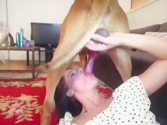 Compilation dog creampie Dog sex