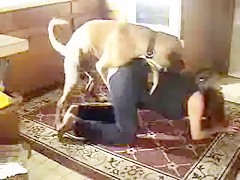 yoga with dog