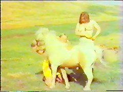 Horse sex Power