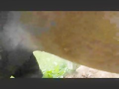 extandable horse cock