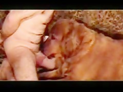 El perro me hace una mamada