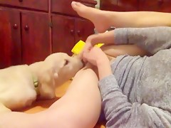 Dog lick meanwhile i am masturbating
