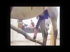 Just wake up with horse dick