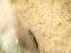 Soy su cerdita