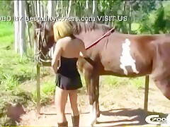 Aline & Horse complete