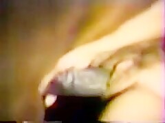 Amateur closeup horse penetration B