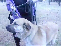 Caledonian Happy Hunter