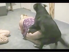 Caledonian KC Knotting with Scoopi