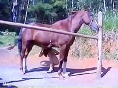 Horse Lovers Series Tatoo active anal fuck