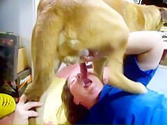 Horny chubby woman sucking deep dog - Animal xxx videos - Bestialzoo Net -  Zoo videos
