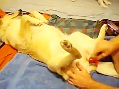 Playing with her toy, but she is my SEX TOY