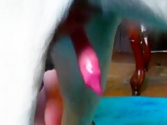 Dog blowjob amateur