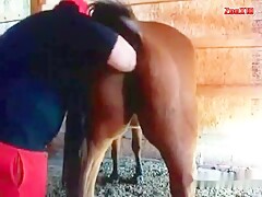 mare pussy fisting